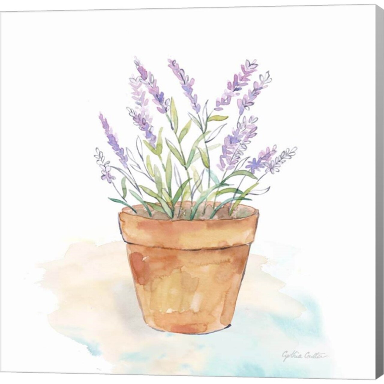 Let it Grow VIII by Cynthia Coulter 12" x 12" Canvas Wall Art